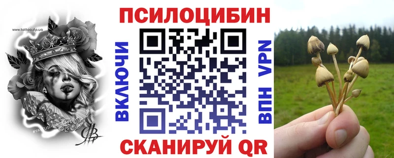 Псилоцибиновые грибы мухоморы где найти наркотики блэк спрут онион Нея